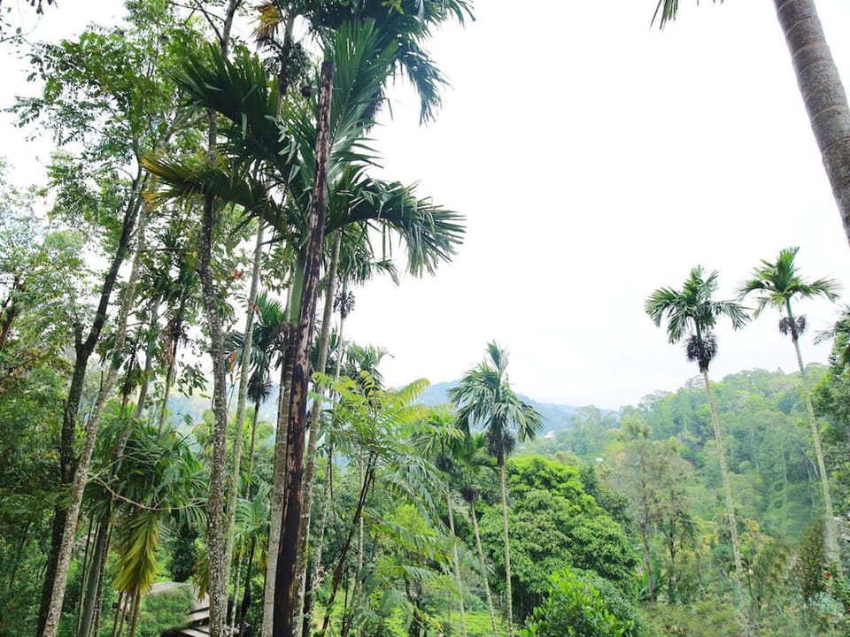 Natural landscape