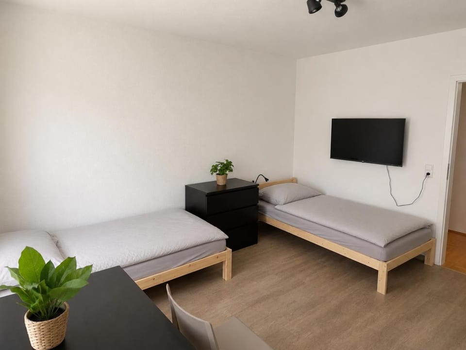 City Apartment direkt in der Fußgängerzone - 9 Personen Apartment in Heilbronn