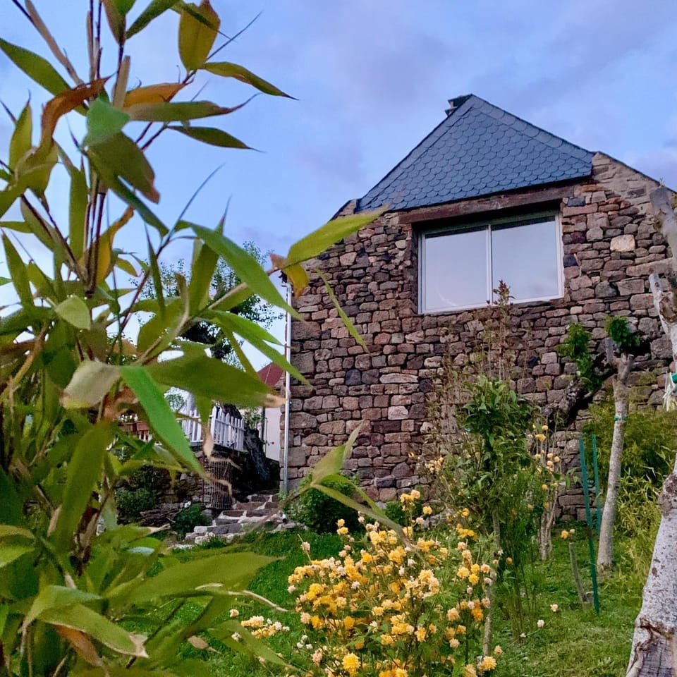 Spring, Garden, Garden view