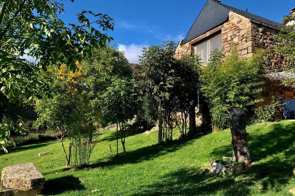 Garden, Garden, View (from property/room), Garden view