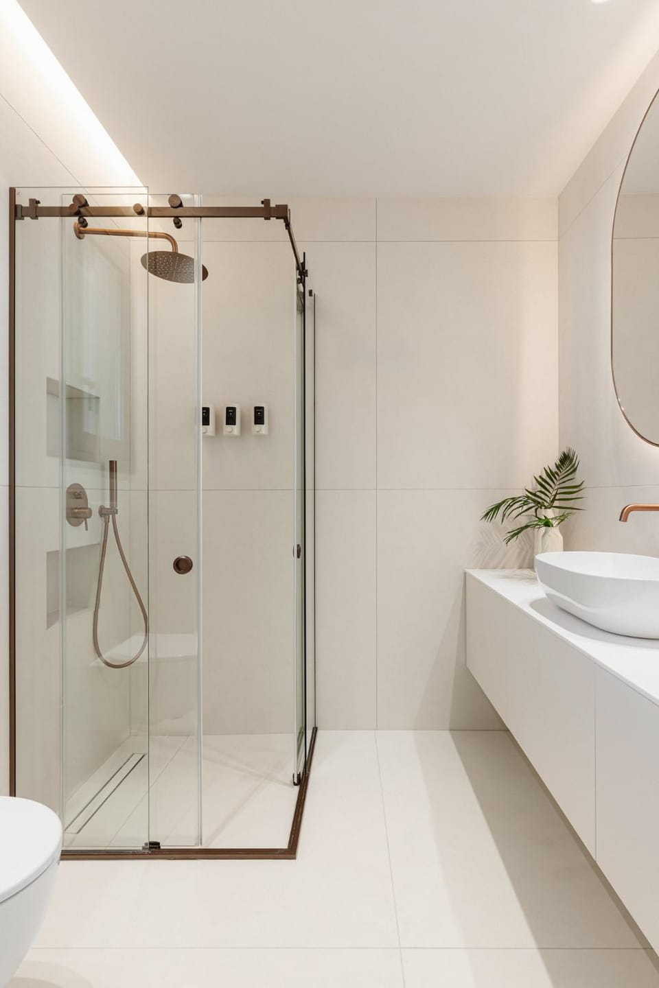 Shower, Toilet
