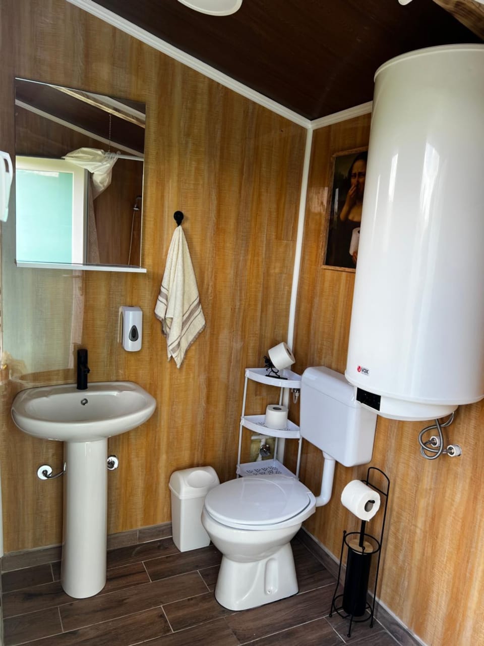 Toilet, Bathroom, towels