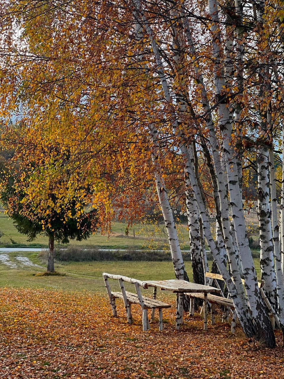 Day, Garden view