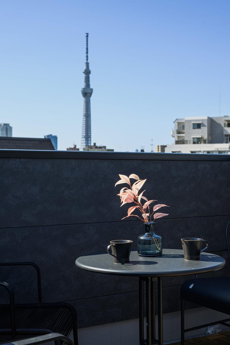 Tokyo Skytree House Villa in Japan