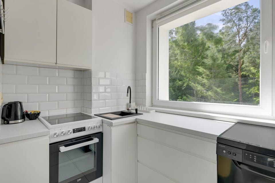 Kitchen or kitchenette, dishwasher, stove