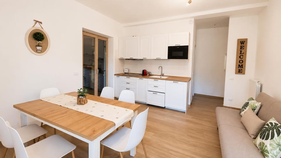 Photo of the whole room, Guests, Area and facilities, Family, furniture, stove, kitchen, air conditioner
