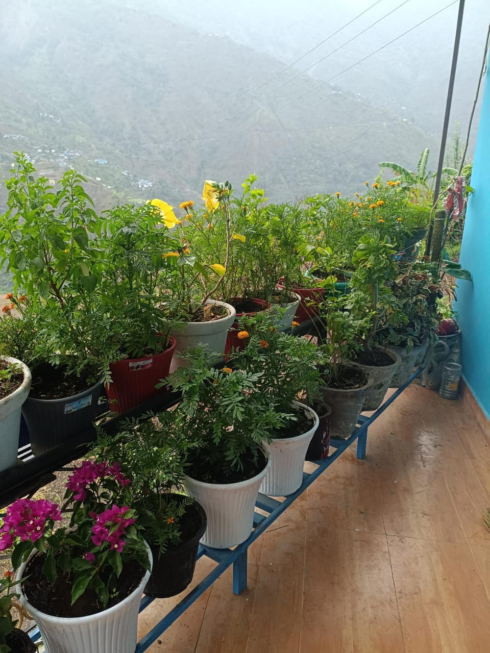 Aashirvad Home Stay Vacation rental in Uttarakhand