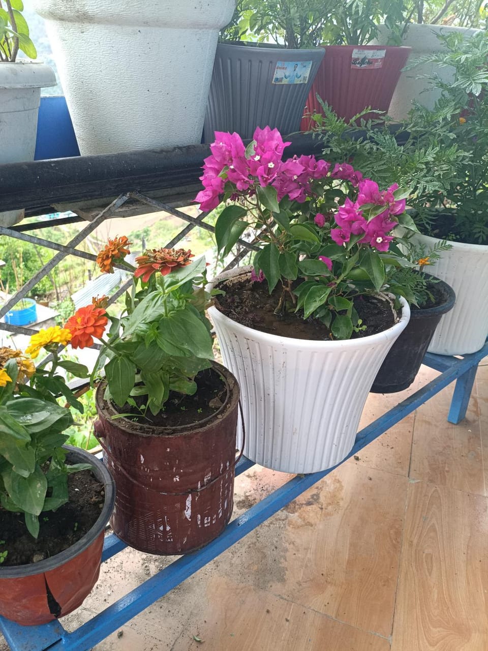 Aashirvad Home Stay Vacation rental in Uttarakhand