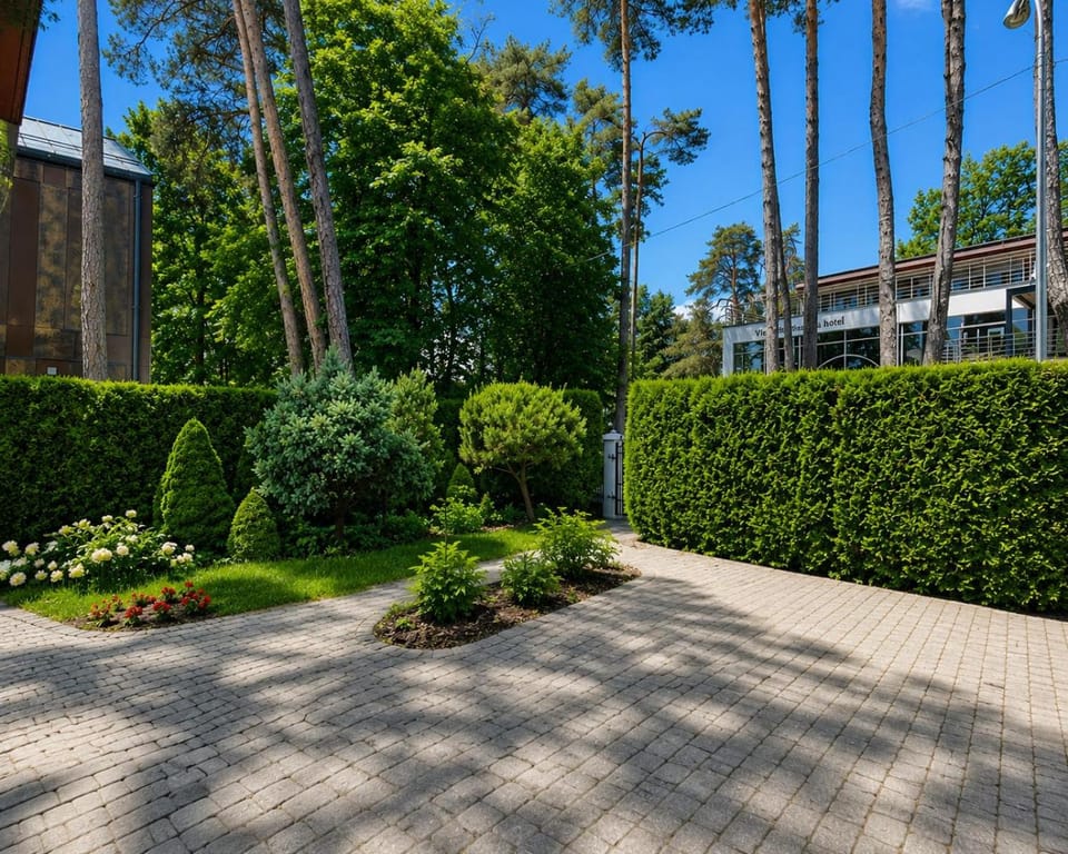 Natural landscape