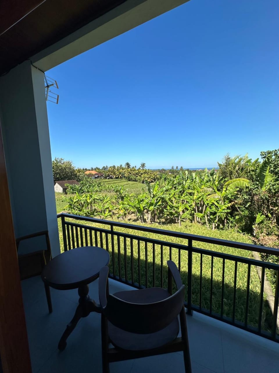 Garden view