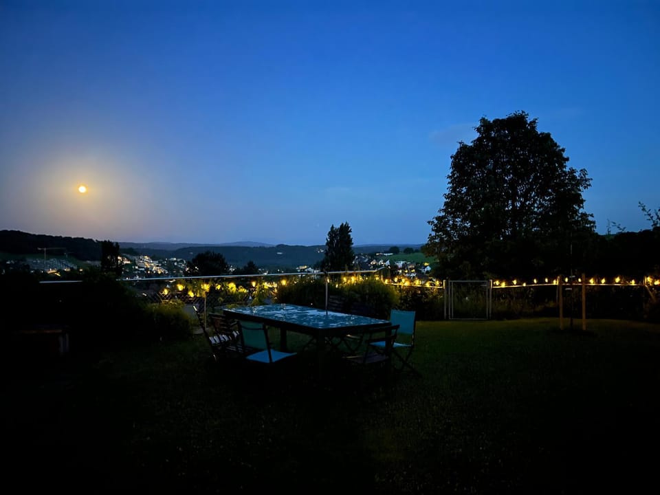 Garden view