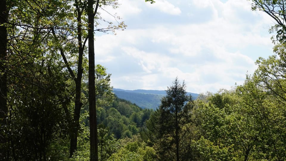 1 Sweet Seclusion Peaceful cabin just outside of Boone with hot tub Cabin in Brushy Fork