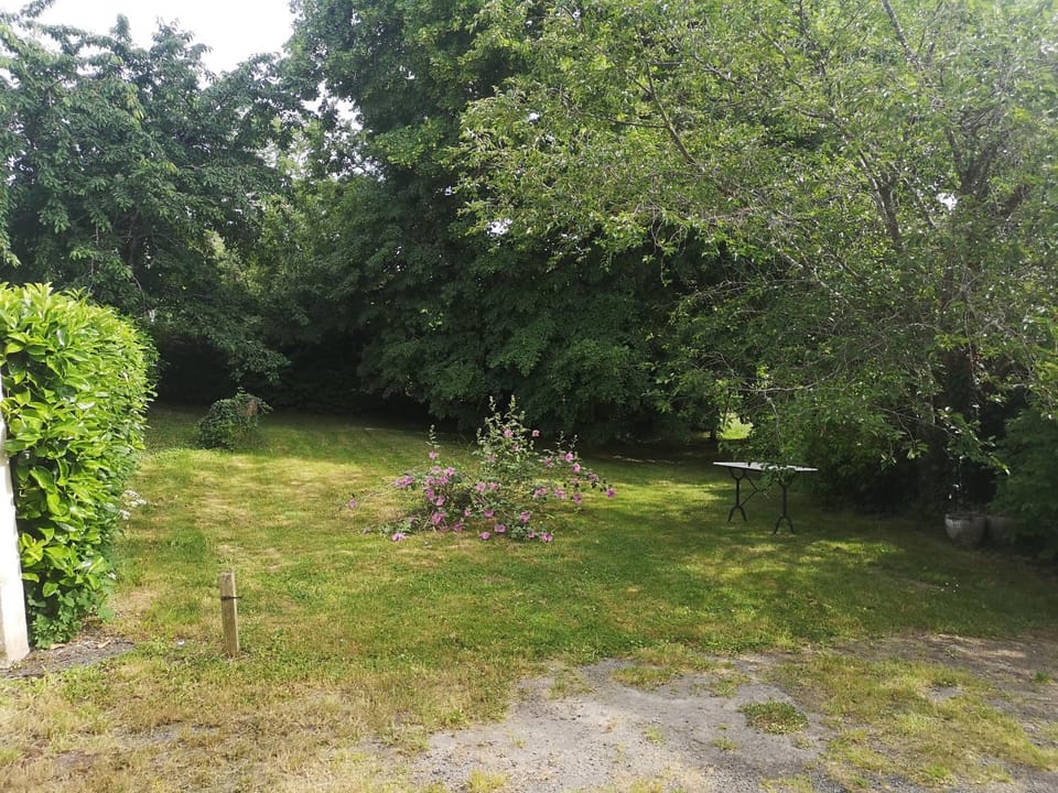 Spring, Garden, Garden view