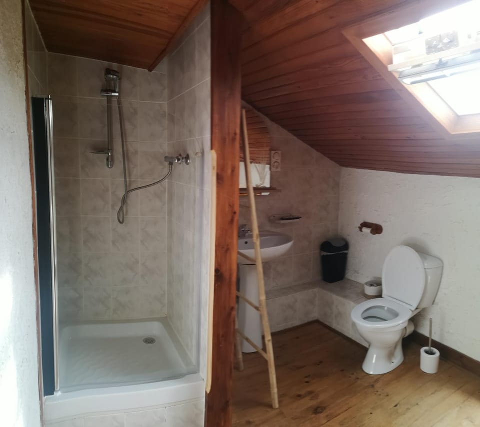 Toilet, Bathroom