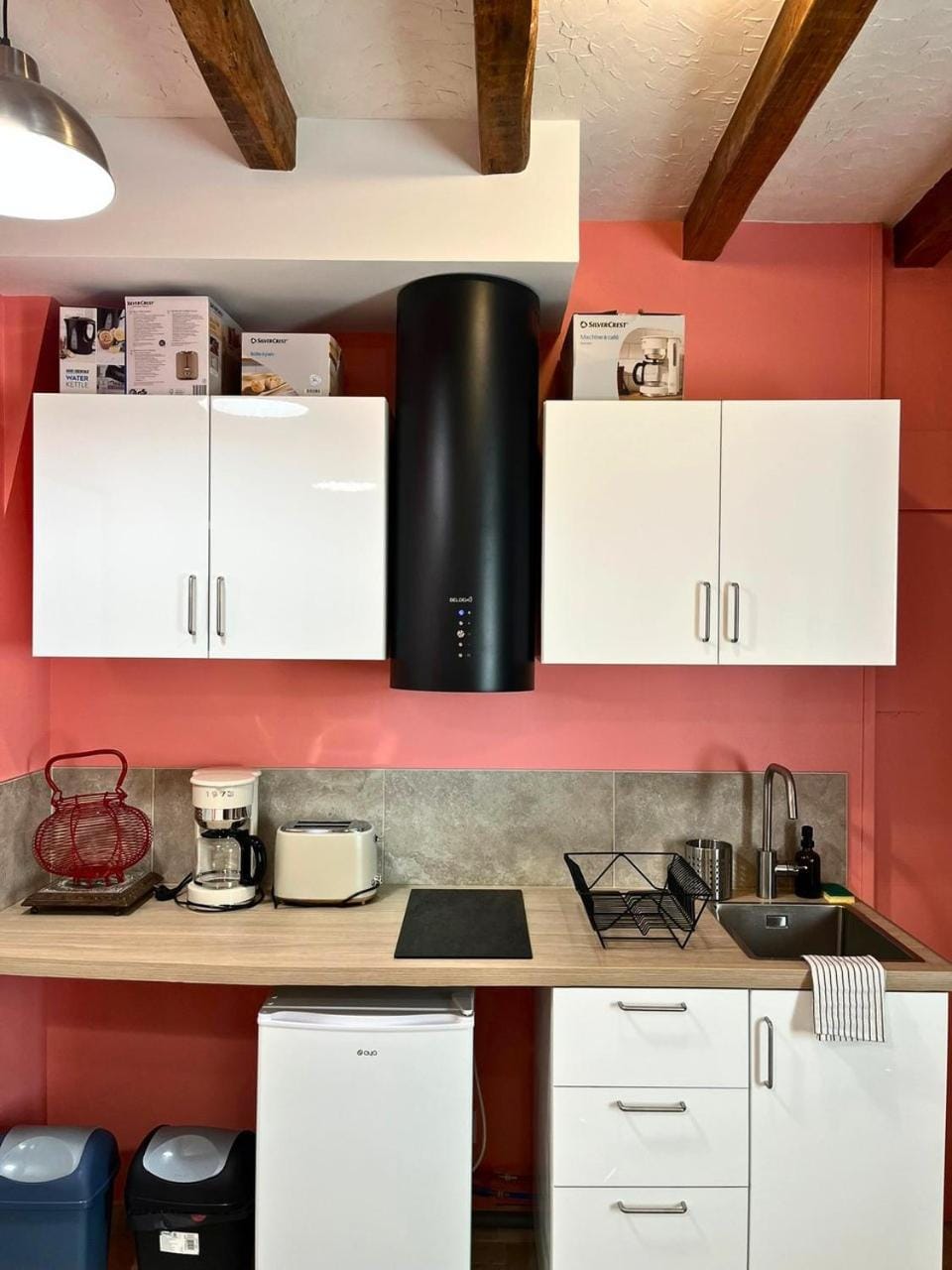Le Rosé de Loire - Studio - Parking Apartment in Amboise