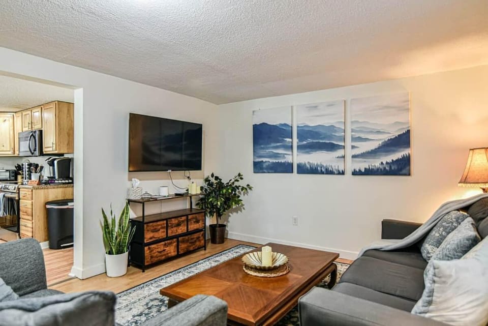 2 Bed Convenient in Country Apartment in Swannanoa