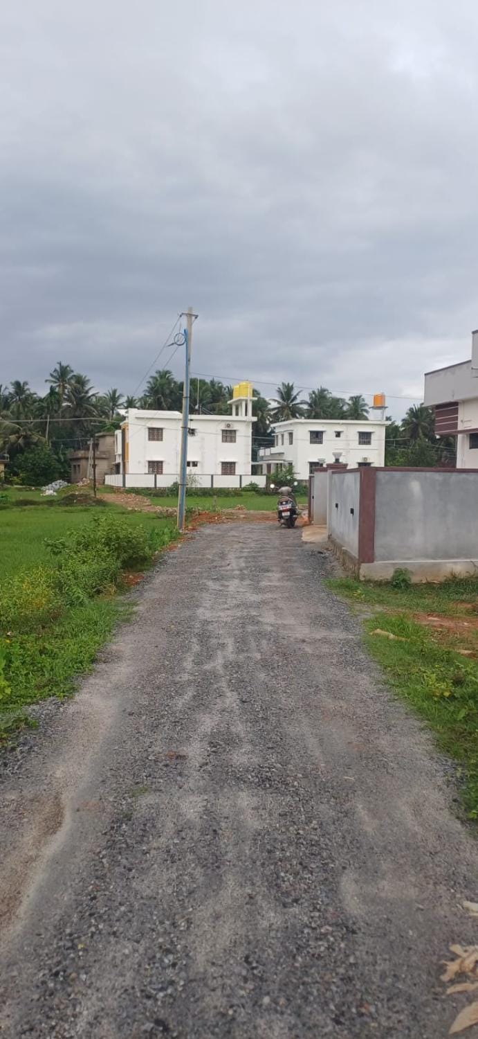 Neighbourhood, Street view