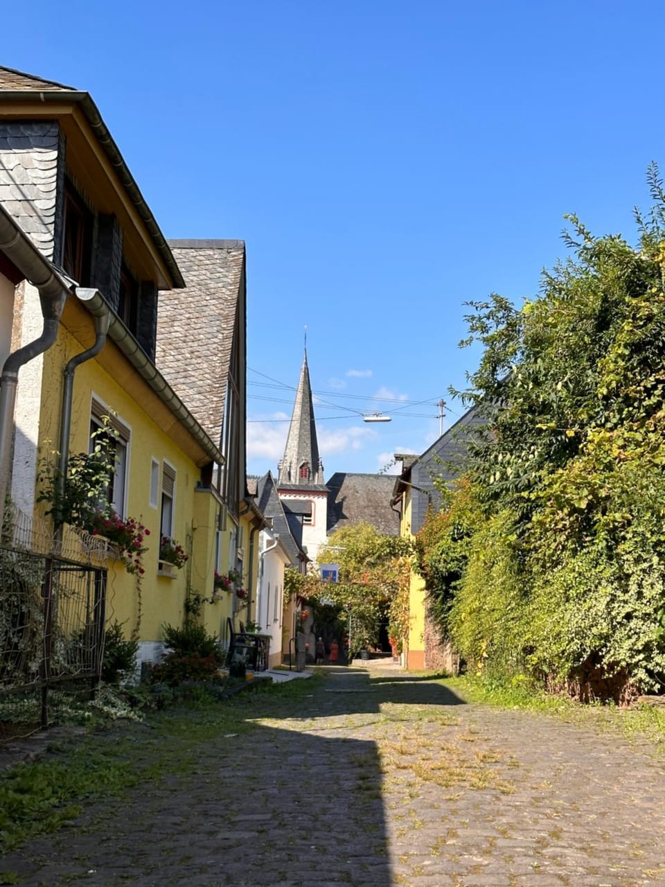 Neighbourhood, Street view