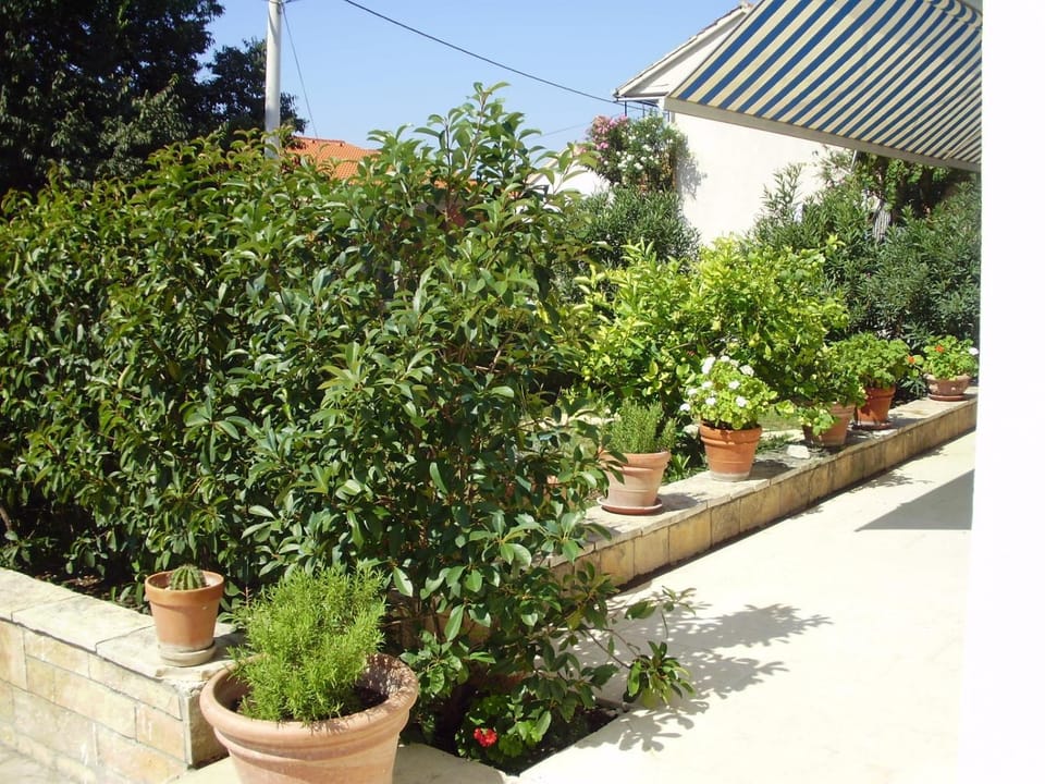 Garden, Balcony/Terrace, Garden view