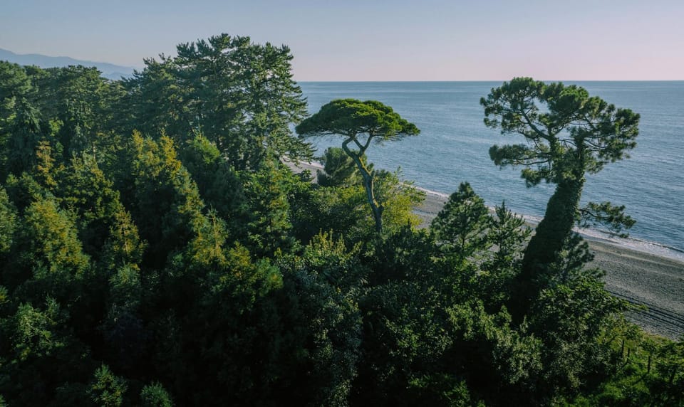 Natural landscape, Beach, Sea view