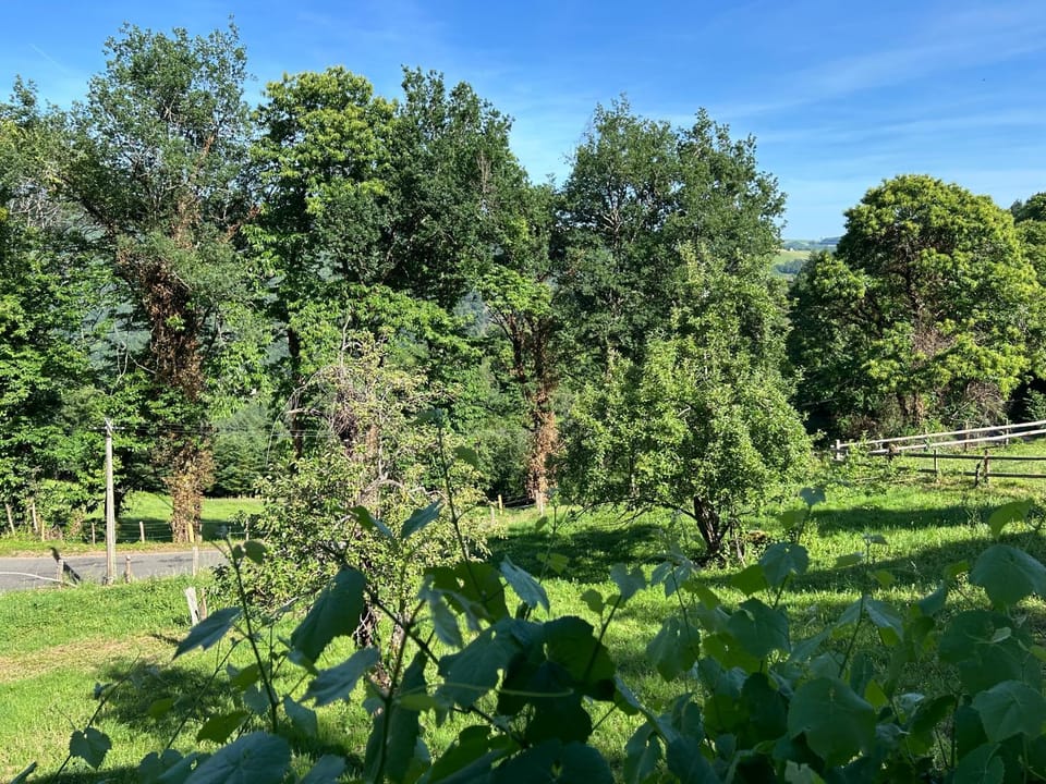 Natural landscape, Garden