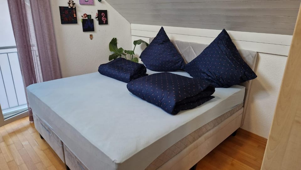 Family room in a House in Allschwil, Basel Campground/ 
RV Resort in Switzerland