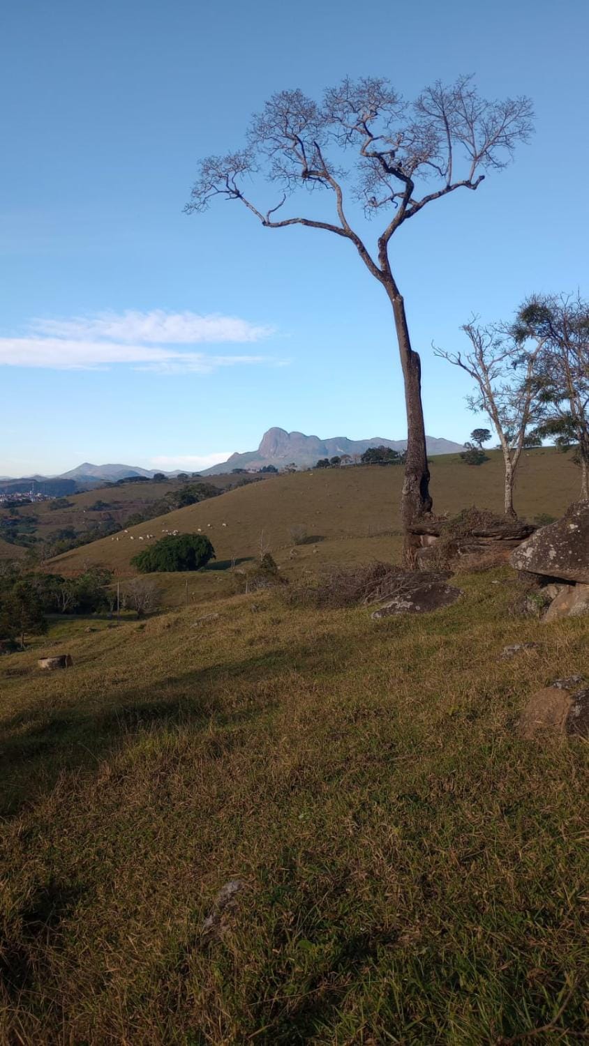 Camping 4m Campground/ 
RV Resort in State of Rio de Janeiro