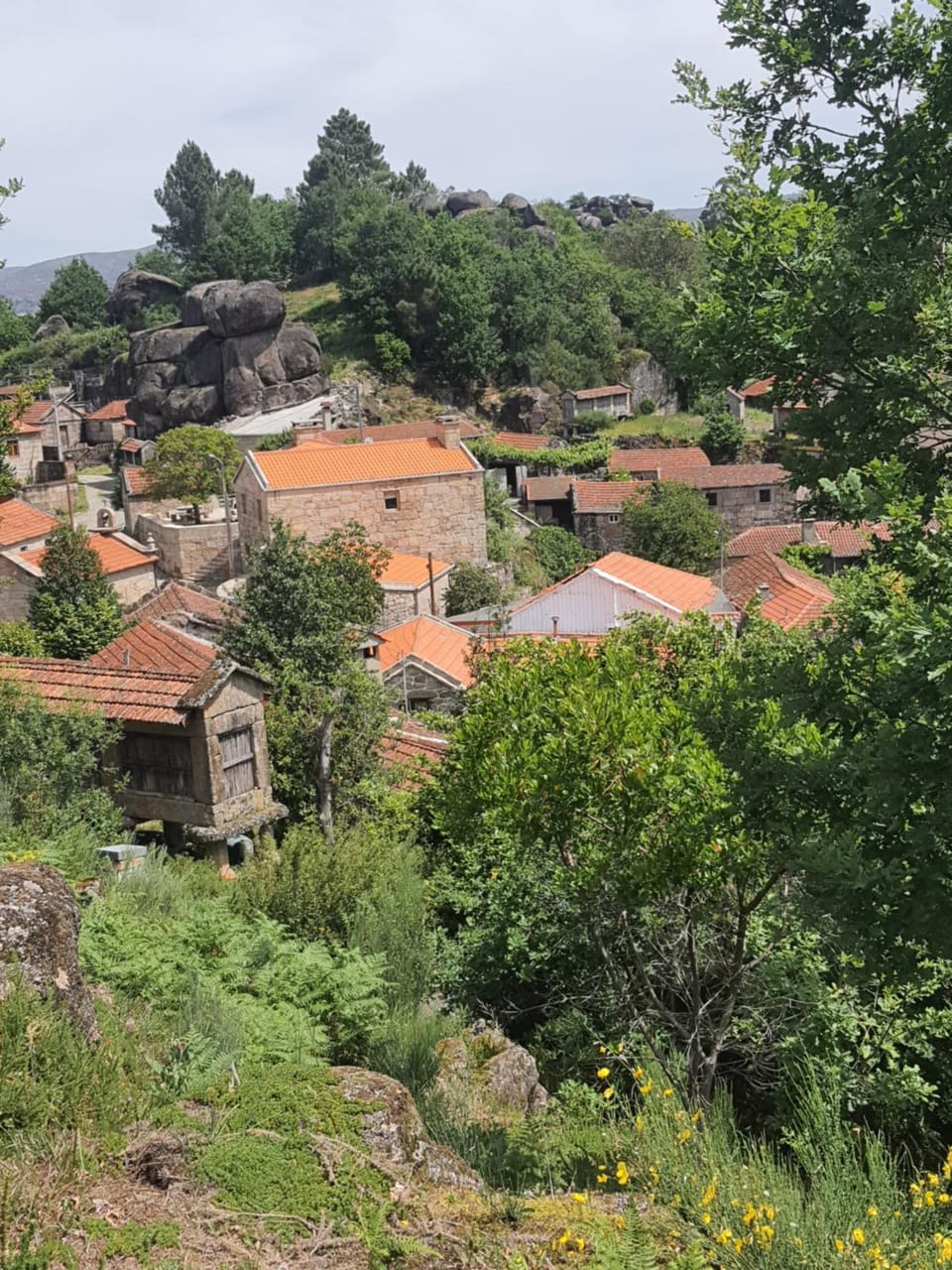 Casa D'Zelo - Gerês House in Vila Real District