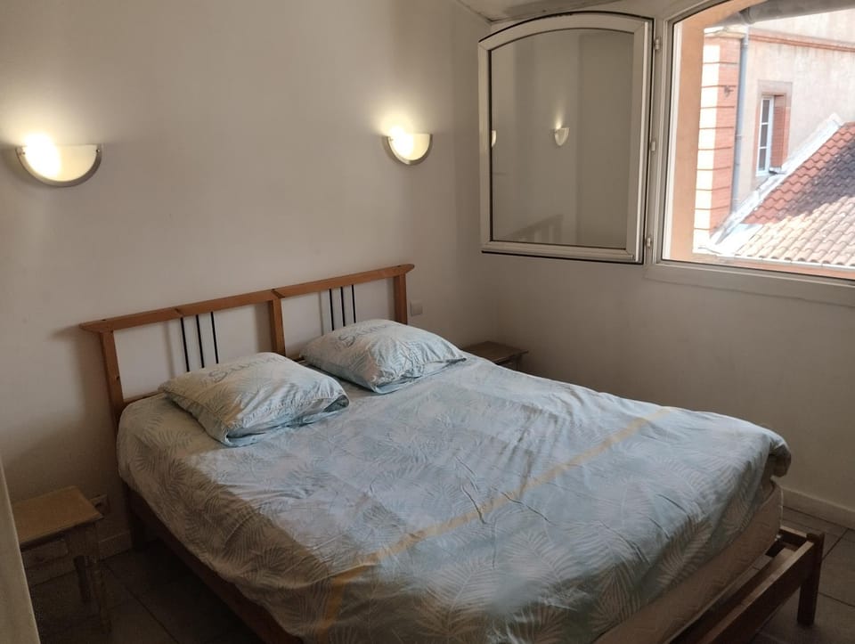 2 chambres, mezza, parking 100m hypercentre Apartment in Albi