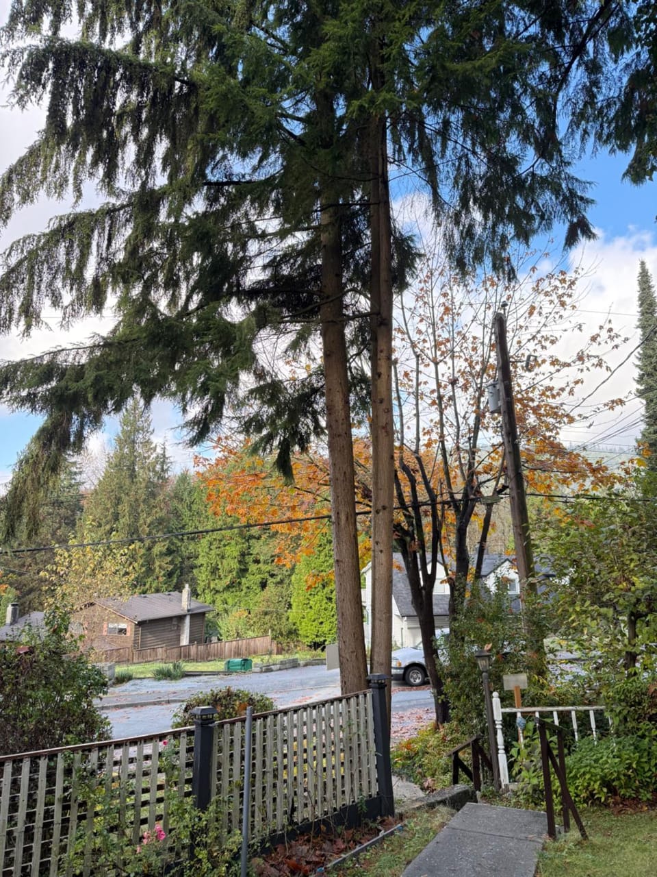 Garden view