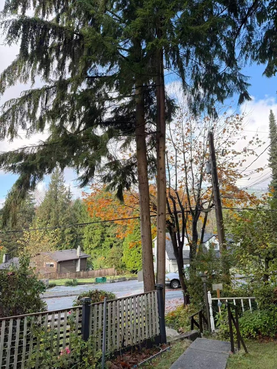 Garden view