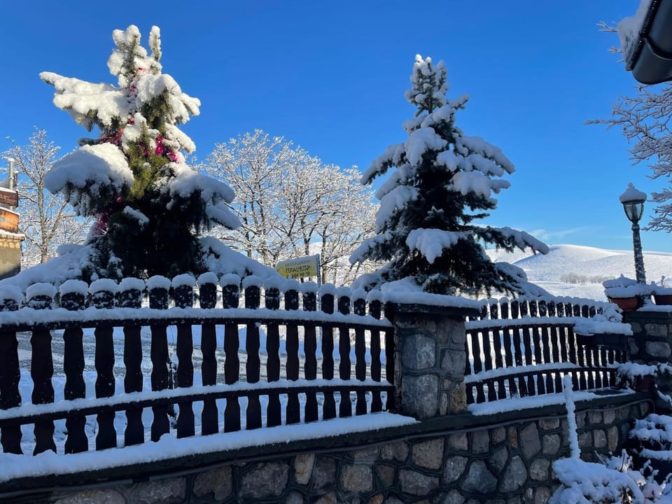 Guest House Vila Djokic Bed and Breakfast in Zlatibor
