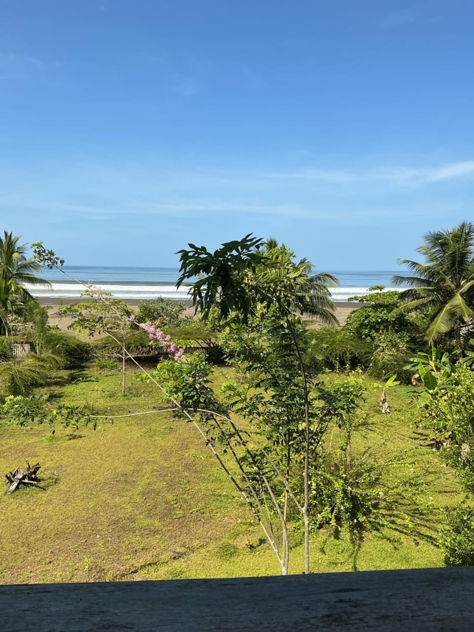 Landmark view