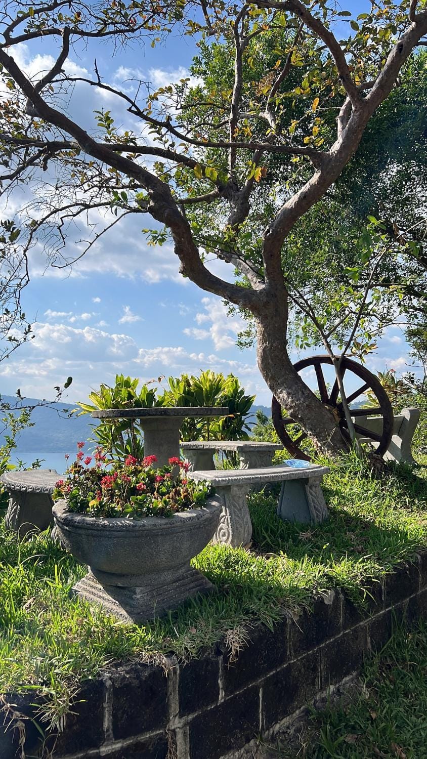 Day, Natural landscape, Garden, Garden view