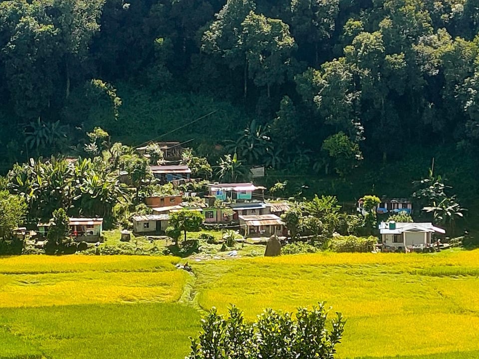 Hotel crunchy shadowbegnas Hotel in Bagmati Province, Nepal