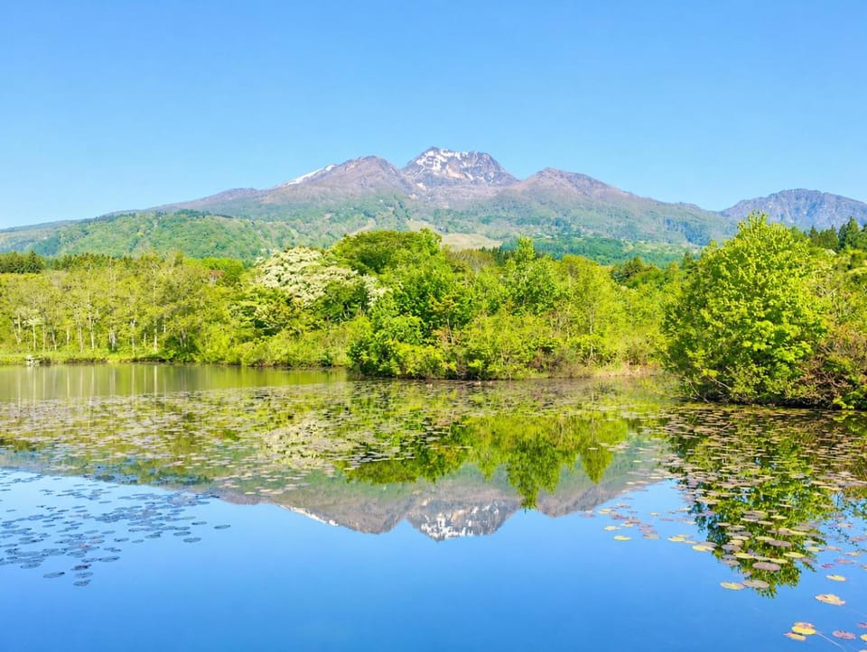 Komorebi Myoko Lodge Nature lodge in Nagano Prefecture
