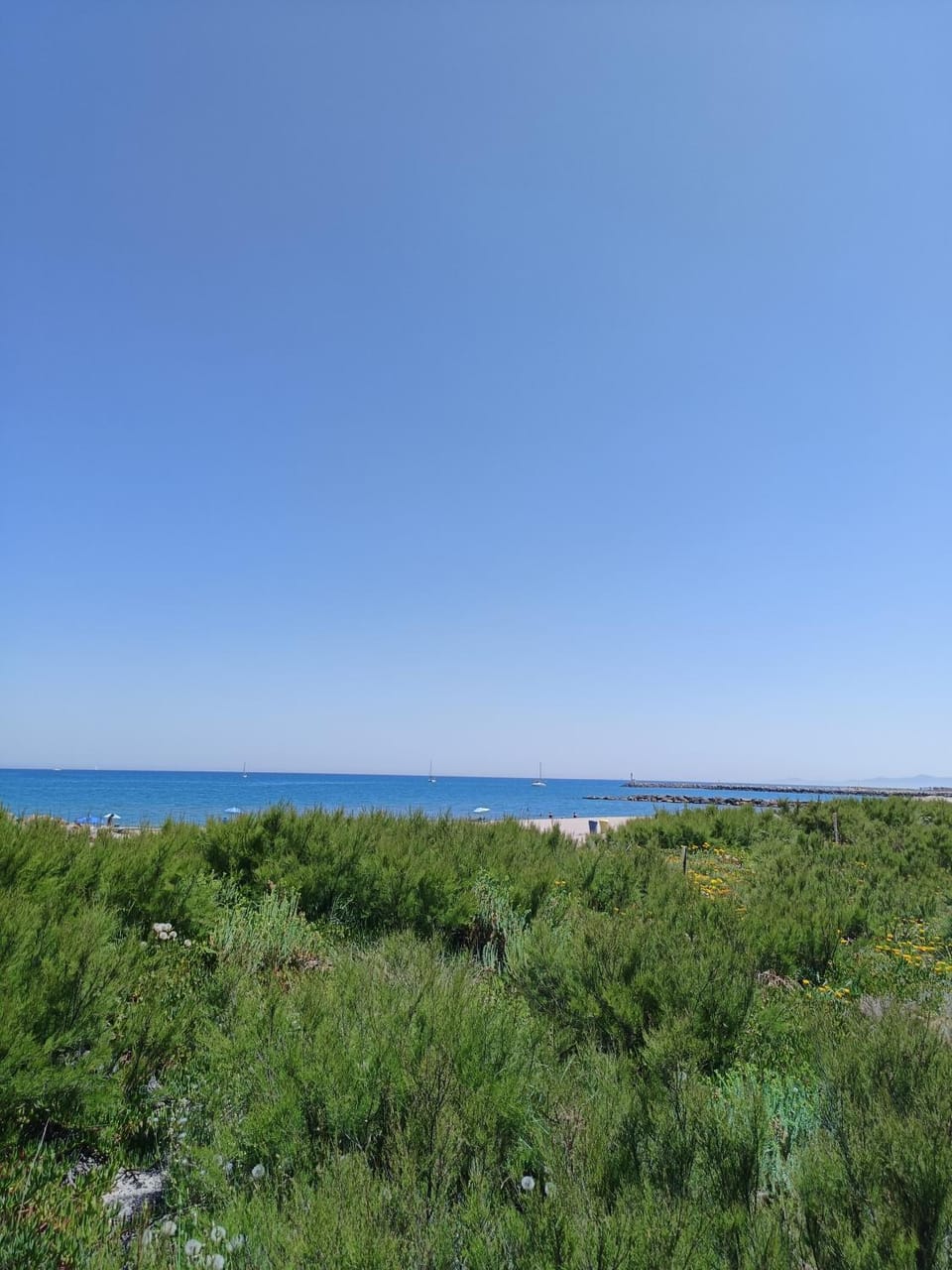 Beach, On site