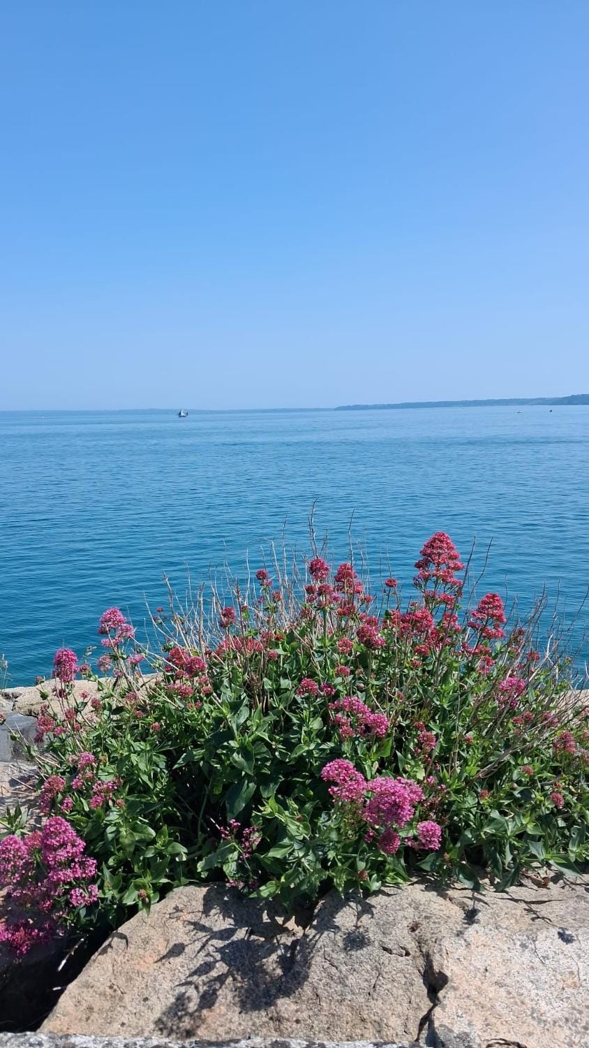 Esprit d'Antan Bed and Breakfast in Brittany