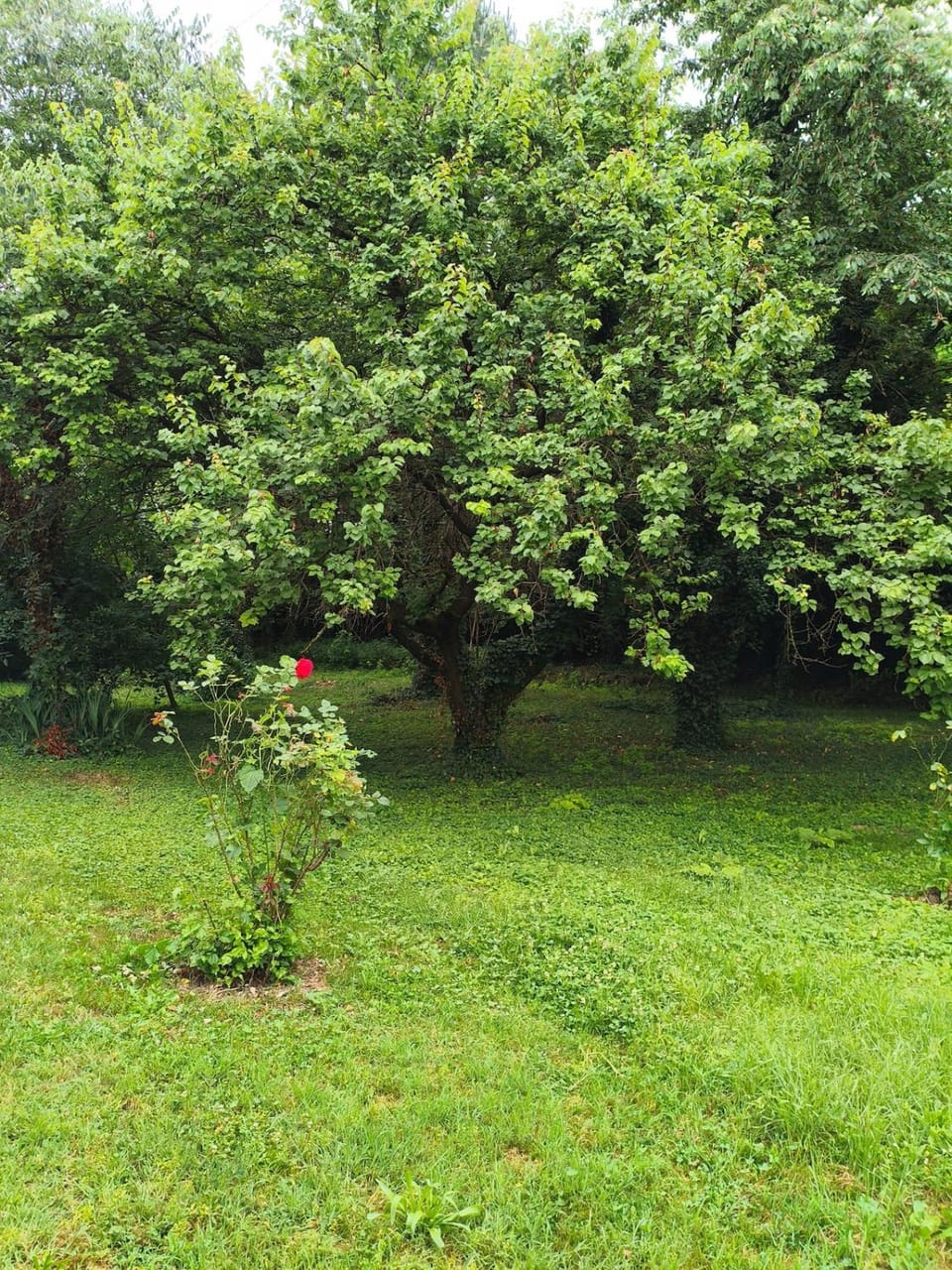 oasi di Villa Erbosa Apartment in Bologna