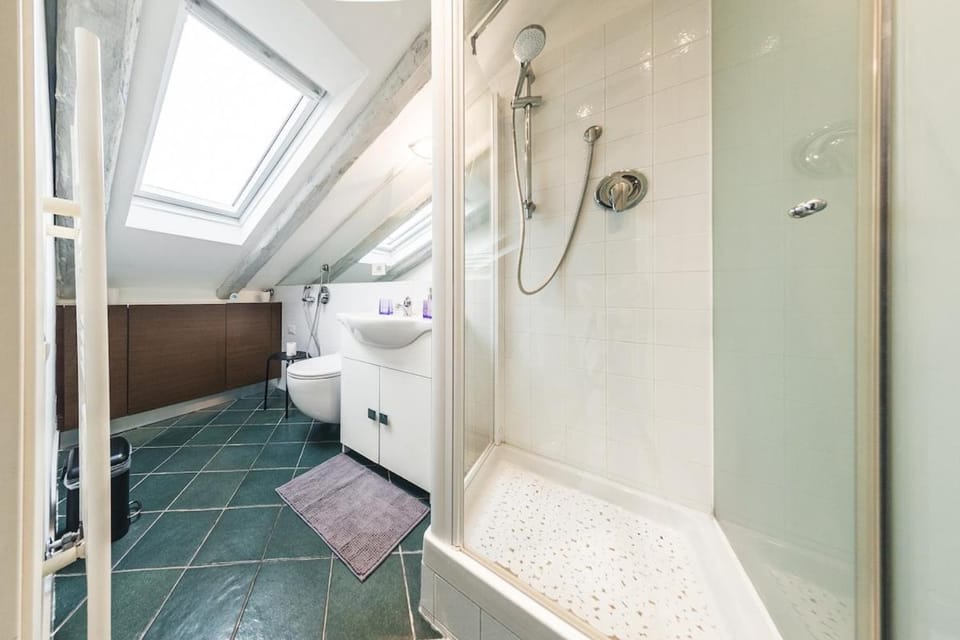 Shower, Bathroom, Photo of the whole room, dryer