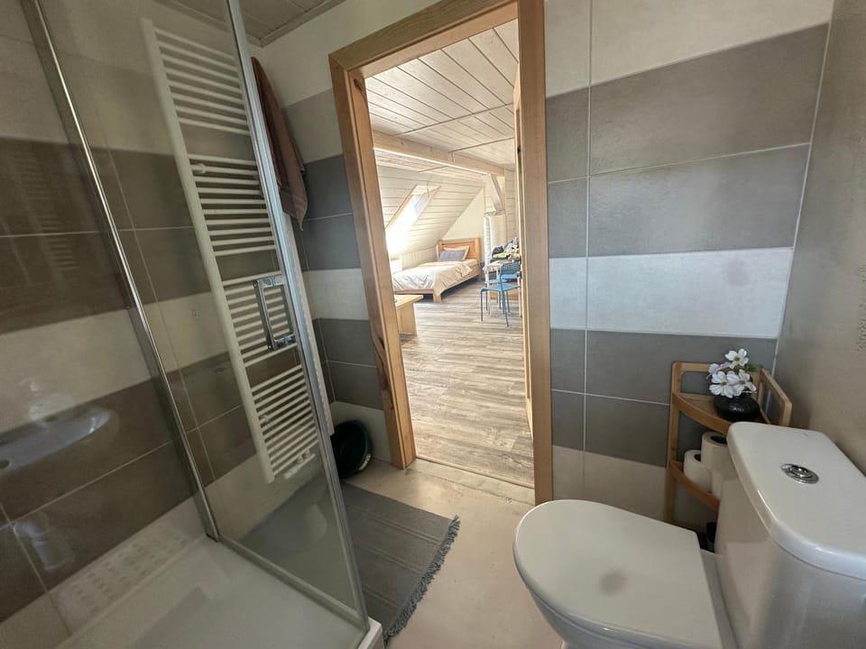 Apartmány PEKY Červená Voda Apartment in Czechia