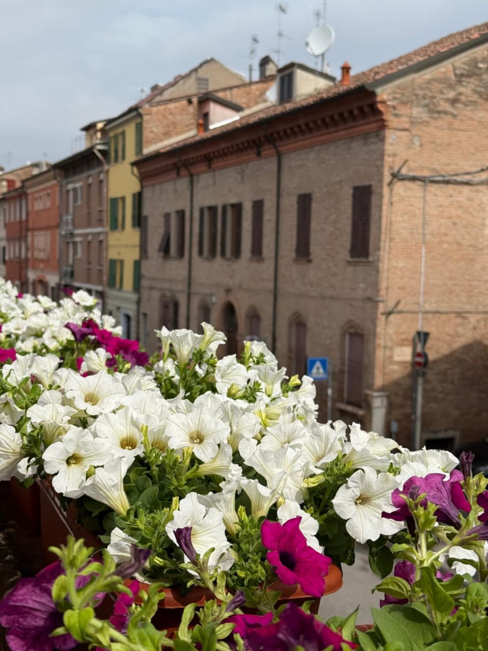 Property building, Spring, Garden
