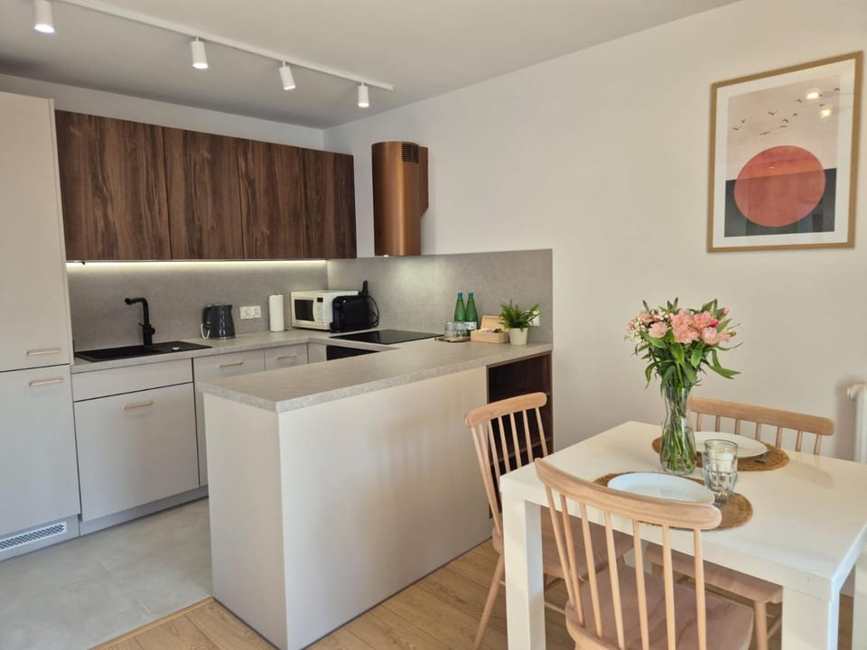 Kitchen or kitchenette, microwave, stove