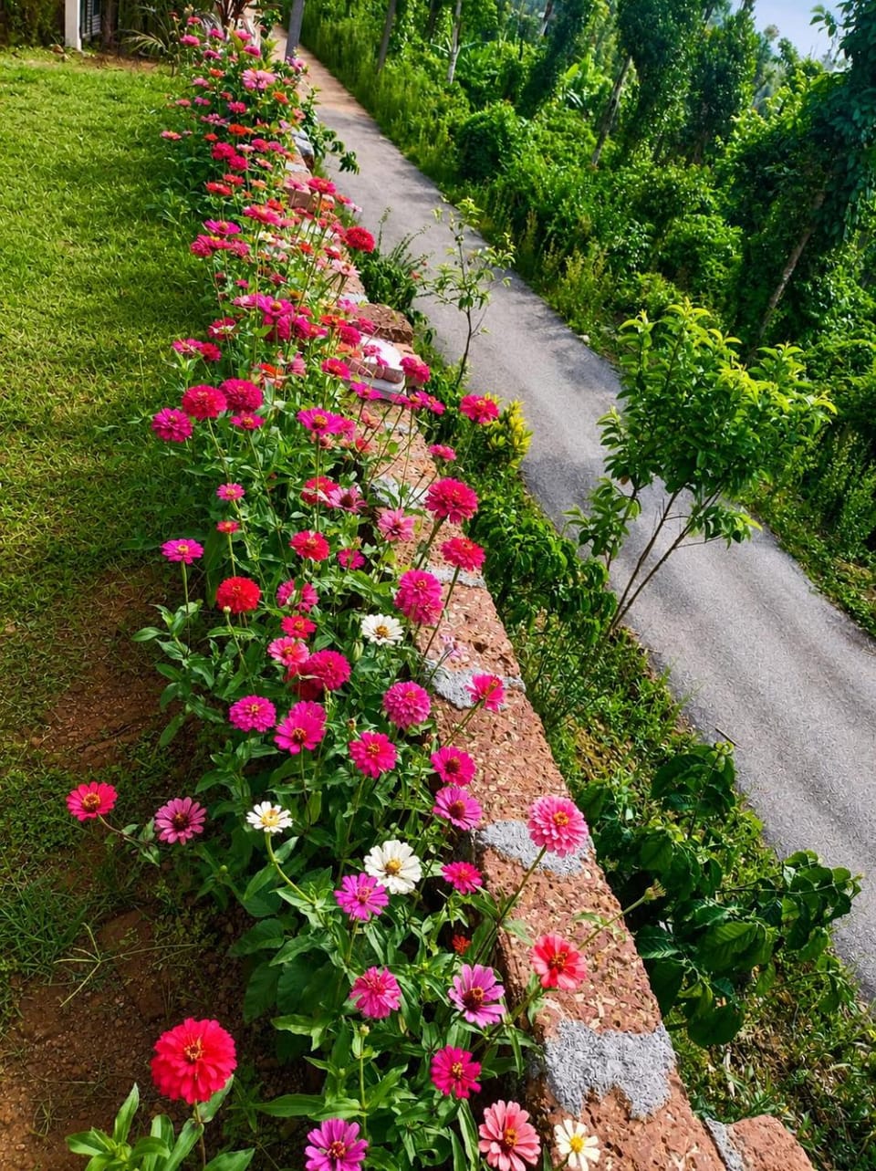 Garden, Garden view