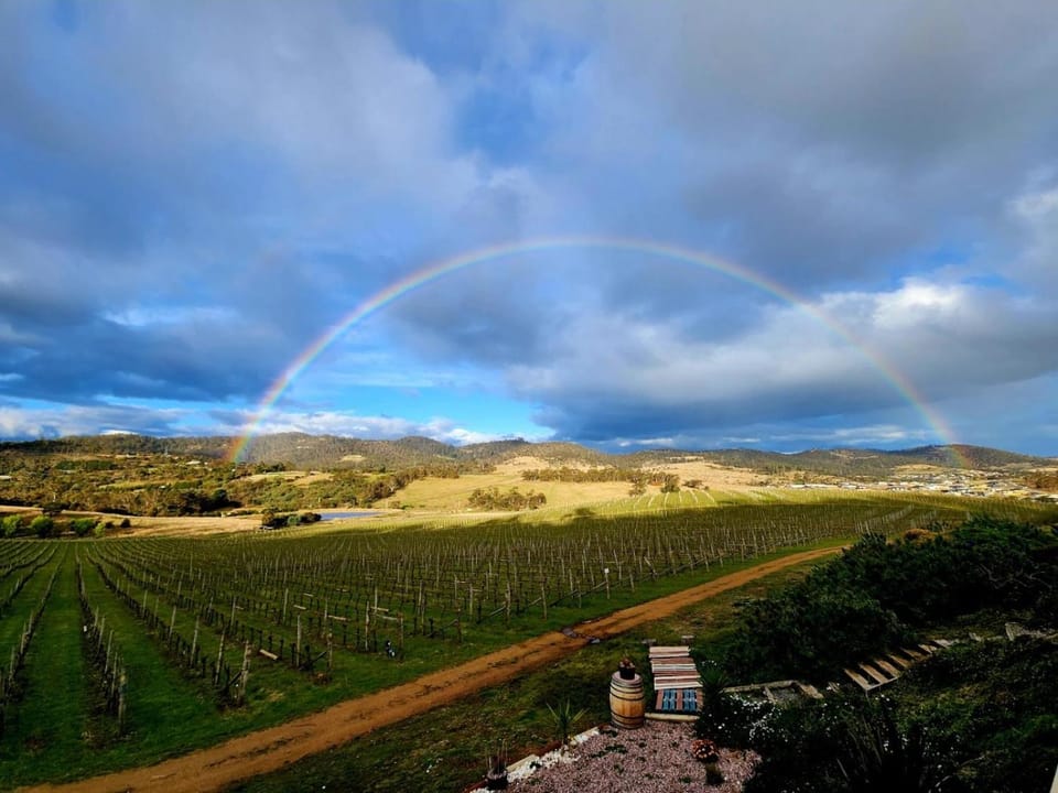 Beautiful Vineyard Stay Farm Stay in Tasmania