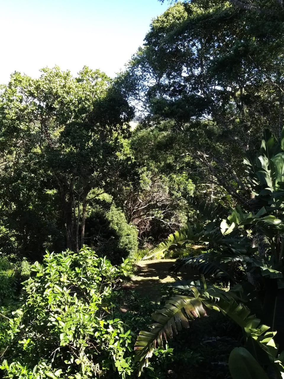 View (from property/room), Garden view