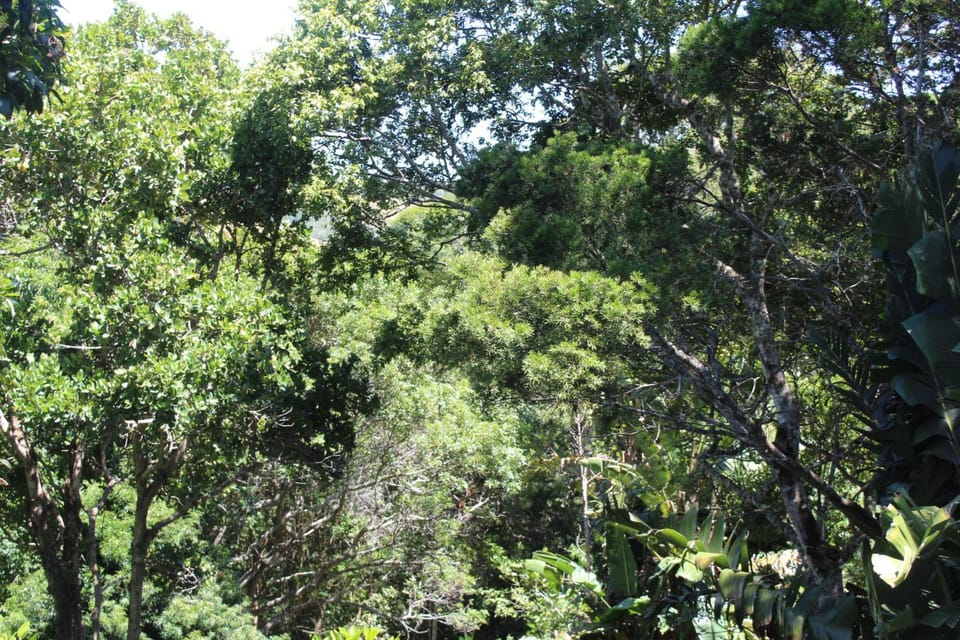 View (from property/room)