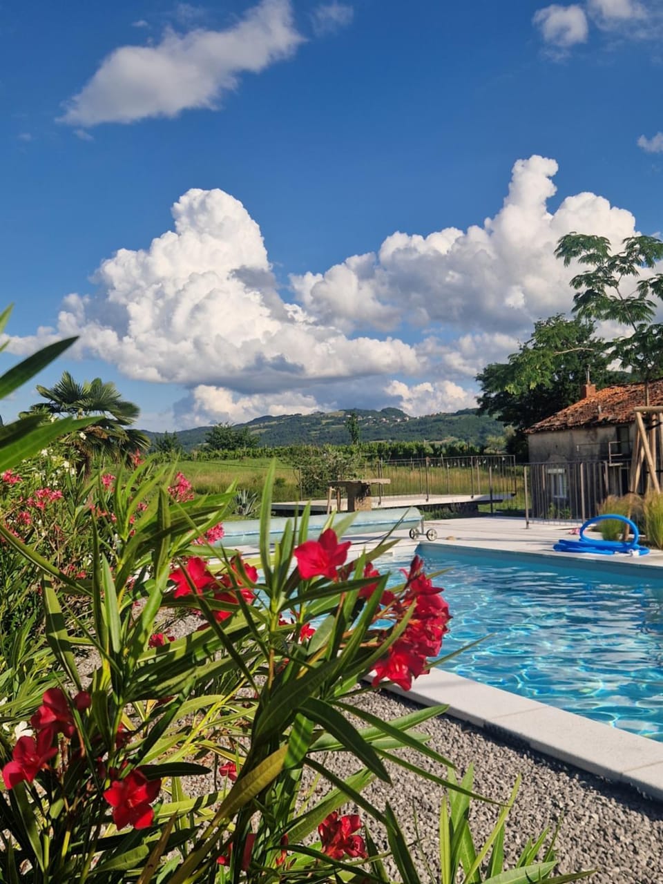 Swimming pool, Swimming pool