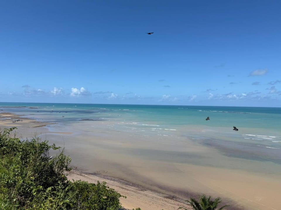 Chalés dos Pássaros Apartment in State of Bahia