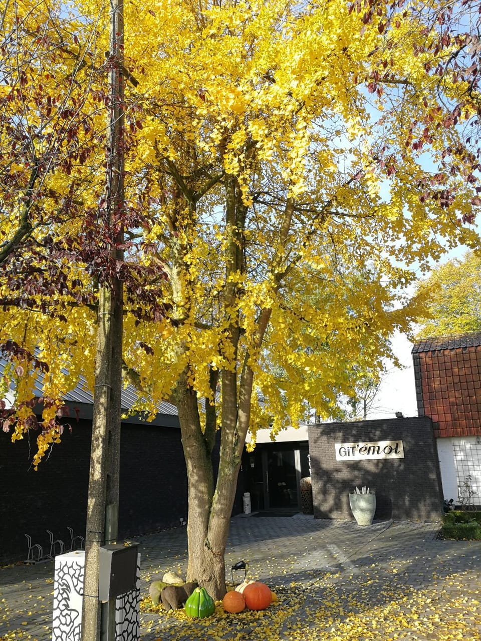 Git Émoi House in Flanders